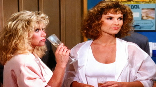 Knots Landing - S9E9: Flight of the Sunbirds
