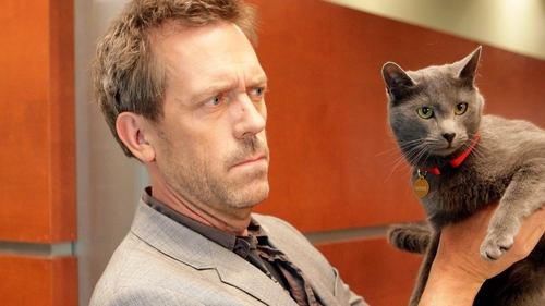 House - S5E18: Here Kitty