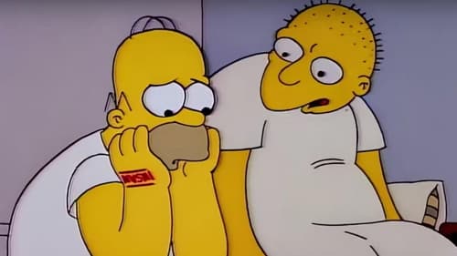 The Simpsons - S3E1: Stark Raving Dad