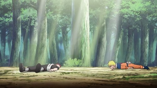Naruto Shippūden - S18E388: My First Friend