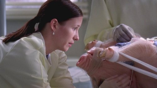 Grey's Anatomy - S5E6: Life During Wartime