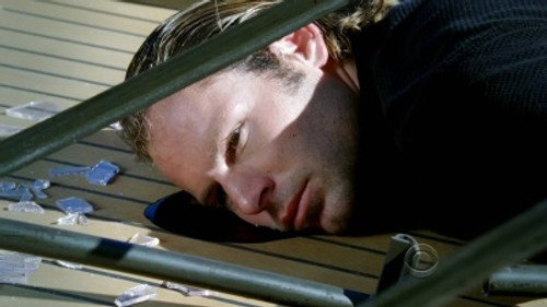 CSI: NY - S6E8: Cuckoo's Nest