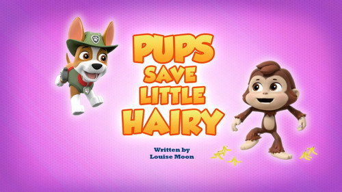 PAW Patrol - S7E44: Pups Save Little Hairy