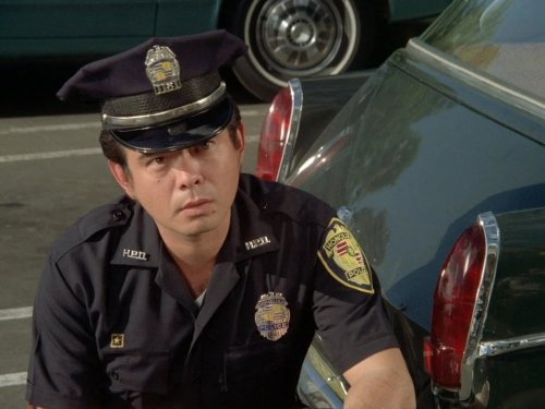 Hawaii Five-O - S6E17: One Born Every Minute