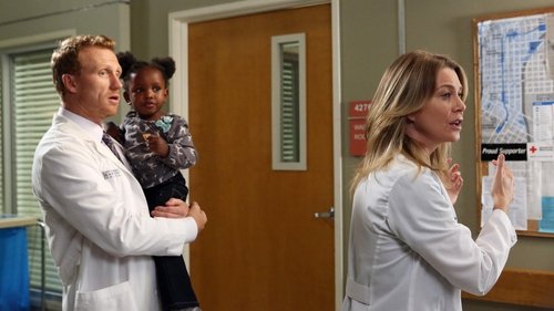 Grey's Anatomy - S9E5: Beautiful Doom