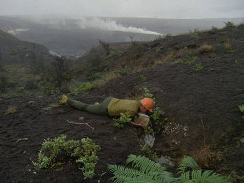 Hawaii Five-O - S7E2: A Hawaiian Nightmare