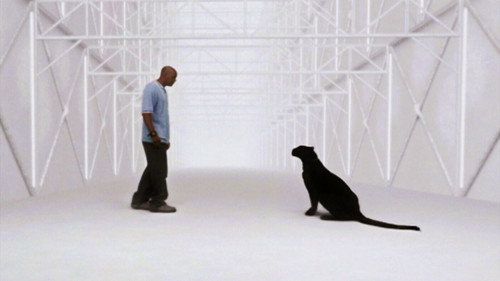 Angel - S4E22: Home