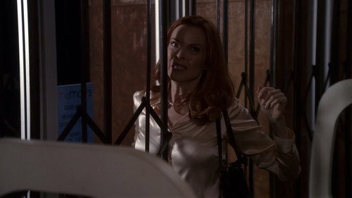 Desperate Housewives - S2E17: Could I Leave You?