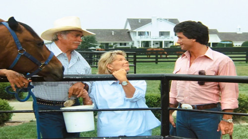 Dallas - S11E9: Hustling