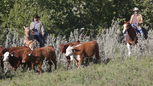 Heartland - S6E3: Keeping Up Appearances