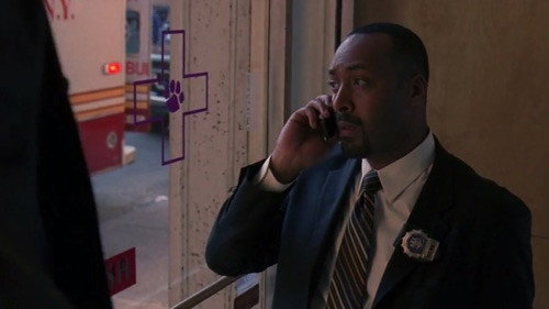 Law & Order - S17E21: Over Here