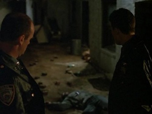 Law & Order - S1E8: Poison Ivy