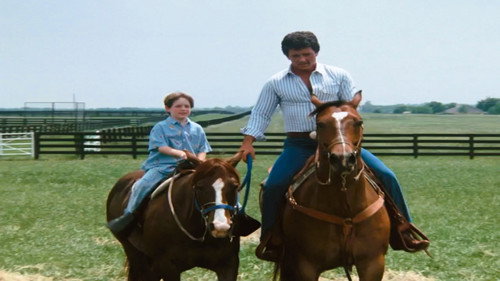 Dallas - S11E6: Tough Love
