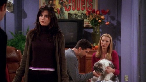 Friends - S7E8: The One Where Chandler Doesn't Like Dogs