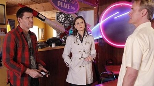 Bones - S5E11: The X in the File