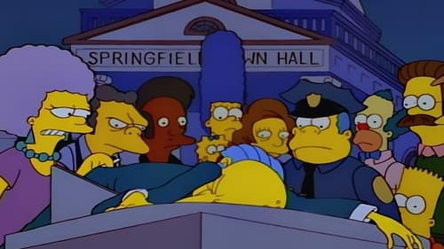 The Simpsons - S6E25: Who Shot Mr. Burns? (1)