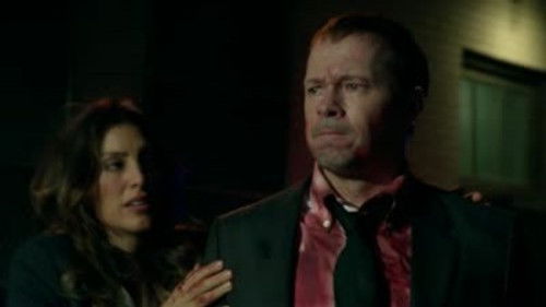 Blue Bloods - S2E2: Friendly Fire