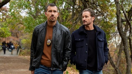 Law & Order: Special Victims Unit - S26E13: Extinguished