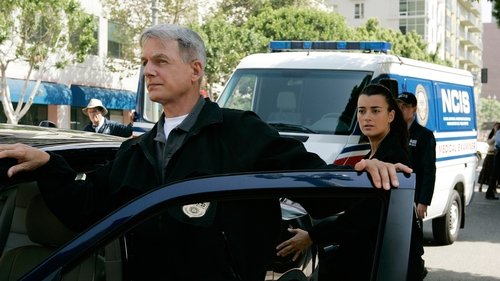 NCIS - S5E5: Leap of Faith