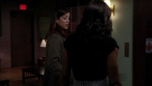 Private Practice - S4E16: Love and Lies