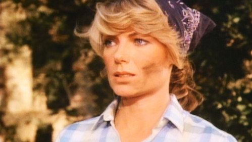 Falcon Crest - S1E6: Kindred Spirits