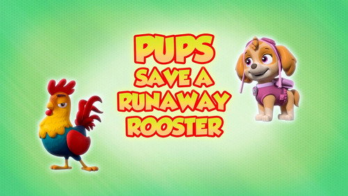 PAW Patrol - S8E1: Pups Save a Runaway Rooster