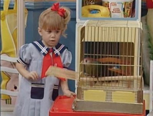 Full House - S3E16: Bye, Bye Birdie