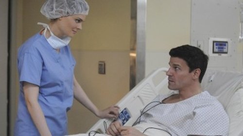 Bones - S4E25: The Critic in the Cabernet
