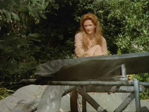 Bonanza - S13E15: A Lonely Man