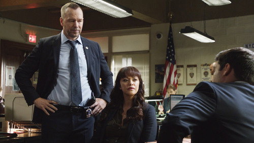 Blue Bloods - S8E4: Out of the Blue