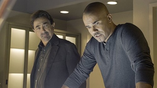 Criminal Minds - S10E14: Hero Worship