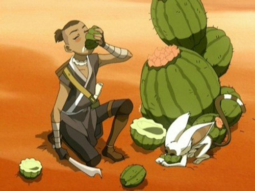 Avatar: The Last Airbender - S2E11: The Desert