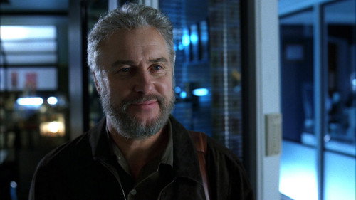 CSI: Crime Scene Investigation - S7E15: Law of Gravity