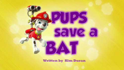 PAW Patrol - S1E37: Pups Save a Bat
