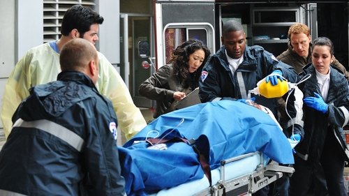 Grey's Anatomy - S6E16: Perfect Little Accident