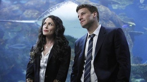Bones - S5E18: The Predator in the Pool