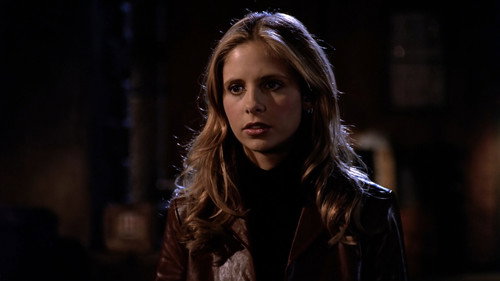 Buffy the Vampire Slayer - S5E10: Into the Woods