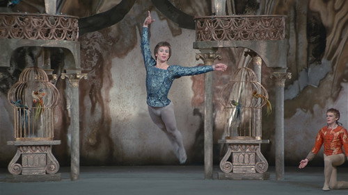 Great Performances - S52E10: The Magic of Nureyev
