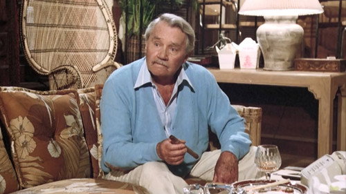 Magnum, P.I. - S8E12: Resolutions (1)