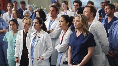 Grey's Anatomy - S6E13: State of Love and Trust