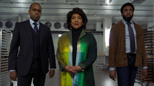 The Good Fight - S6E7: The End of STR Laurie