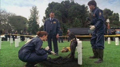 Bones - S1E21: The Soldier on the Grave