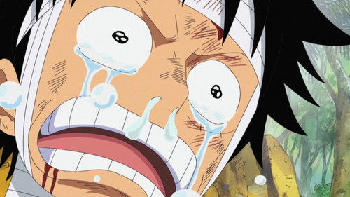 One Piece - S13E505: I Want to See Them! Luffy's Mournful Cry!