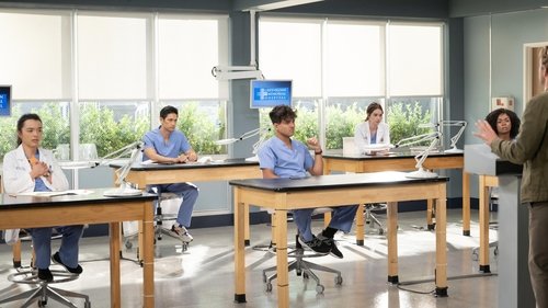 Grey's Anatomy - S20E1: We've Only Just Begun
