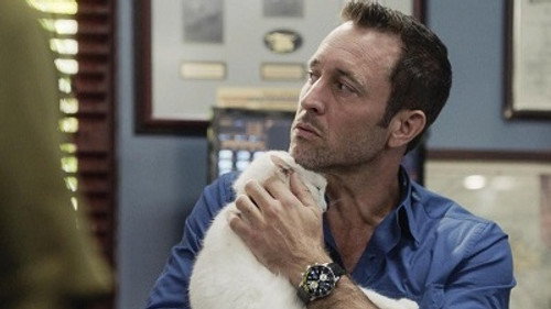 Hawaii Five-0 - S9E21: He kama na ka pueo (Offspring of an Owl)
