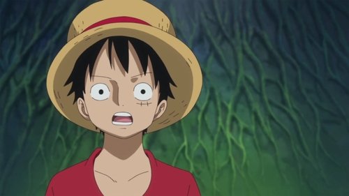 One Piece - S18E771: A Vow Between Two Men - Luffy and Kozuki Momonosuke