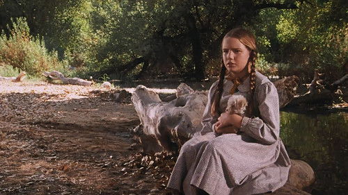 Little House on the Prairie - S2E8: Remember Me (2)