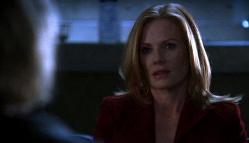 CSI: Crime Scene Investigation - S4E19: Bad Words