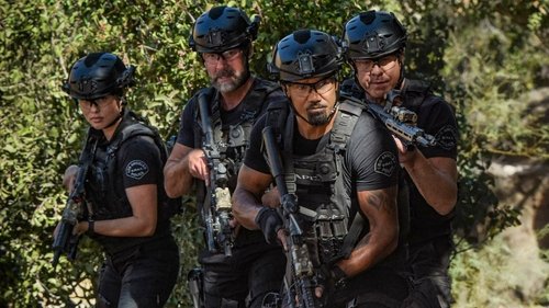 S.W.A.T. - S6E10: Witness