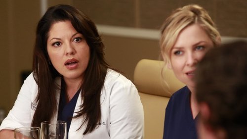 Grey's Anatomy - S9E17: Transplant Wasteland